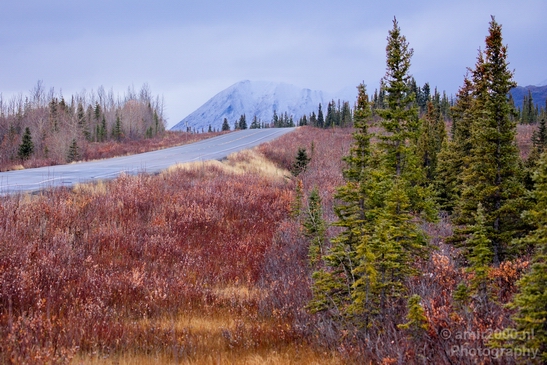 Denali_National_Park_Alaska_nature_landscape_Usa_Photography_159_Canon_EOS_5D_Mark_IV.JPG