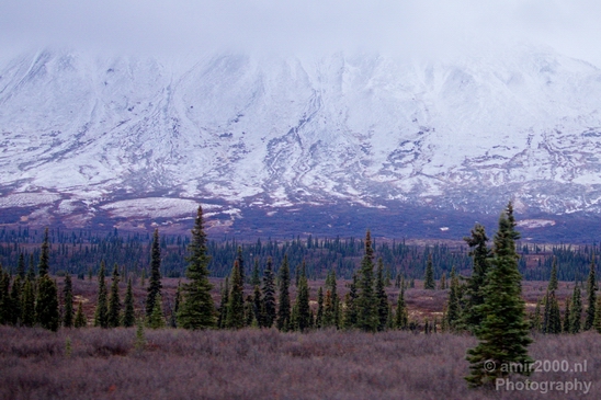 Denali_National_Park_Alaska_nature_landscape_Usa_Photography_163_Canon_EOS_5D_Mark_IV.JPG