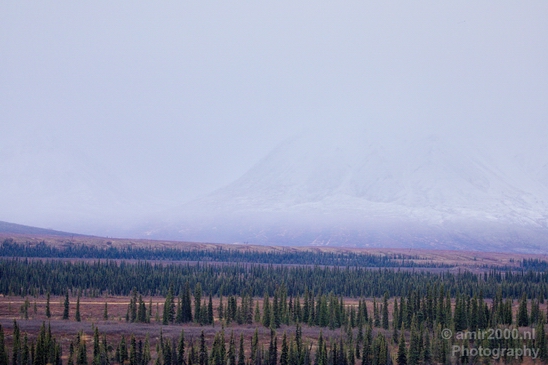 Denali_National_Park_Alaska_nature_landscape_Usa_Photography_164_Canon_EOS_5D_Mark_IV.JPG