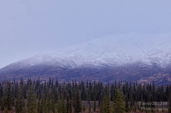 Denali_National_Park_Alaska_nature_landscape_Usa_Photography_165_Canon_EOS_5D_Mark_IV.JPG