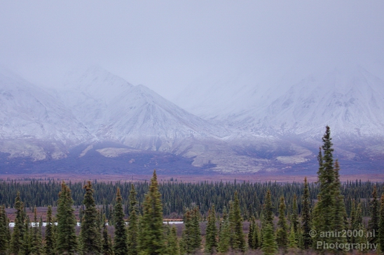 Denali_National_Park_Alaska_nature_landscape_Usa_Photography_166_Canon_EOS_5D_Mark_IV.JPG