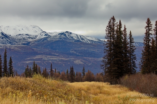 Denali_National_Park_Alaska_nature_landscape_Usa_Photography_169_Canon_EOS_5D_Mark_IV.JPG