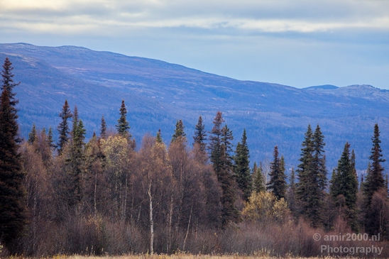 Denali_National_Park_Alaska_nature_landscape_Usa_Photography_173_Canon_EOS_5D_Mark_IV.JPG