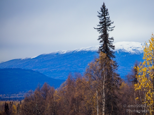 Denali_National_Park_Alaska_nature_landscape_Usa_Photography_174_Canon_EOS_5D_Mark_IV.JPG