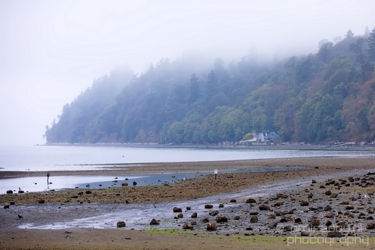 Des_Moines_Beach_Park_Seattle_Southside_Washington_state_nature_landscape_Usa_Photography_017_Canon_EOS_5D_Mark_IV.JPG