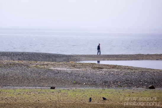 Des_Moines_Beach_Park_Seattle_Southside_Washington_state_nature_landscape_Usa_Photography_019_Canon_EOS_5D_Mark_IV.JPG