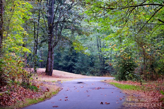 Des_Moines_Beach_Park_Seattle_Southside_Washington_state_nature_landscape_Usa_Photography_032_Canon_EOS_5D_Mark_IV.JPG