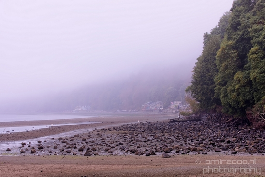 Des_Moines_Beach_Park_Seattle_Southside_Washington_state_nature_landscape_Usa_Photography_047_Canon_EOS_5D_Mark_IV.JPG