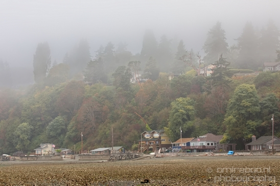Des_Moines_Beach_Park_Seattle_Southside_Washington_state_nature_landscape_Usa_Photography_050_Canon_EOS_5D_Mark_IV.JPG