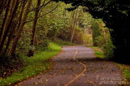 Des_Moines_Beach_Park_Seattle_Southside_Washington_state_nature_landscape_Usa_Photography_056_Canon_EOS_5D_Mark_IV.JPG