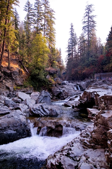 Granite_Falls_Fish_Ladder_Washington_state_nature_landscape_Usa_Photography_003_Canon_EOS_5D_Mark_IV.JPG
