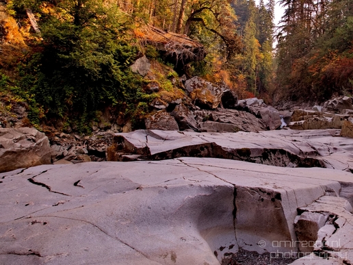 Granite_Falls_Fish_Ladder_Washington_state_nature_landscape_Usa_Photography_011_Canon_EOS_5D_Mark_IV.JPG