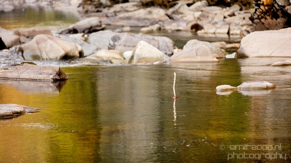 Granite_Falls_Fish_Ladder_Washington_state_nature_landscape_Usa_Photography_026_Canon_EOS_5D_Mark_IV.JPG