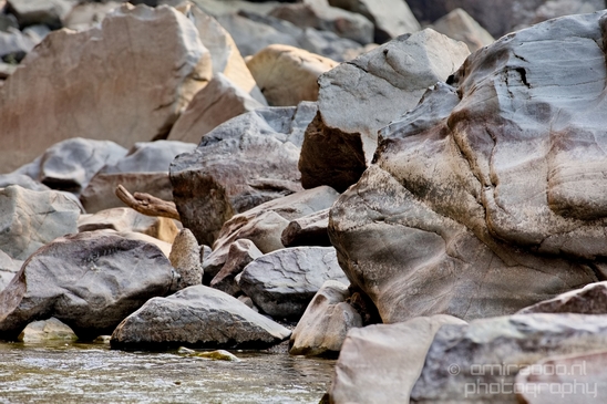 Granite_Falls_Fish_Ladder_Washington_state_nature_landscape_Usa_Photography_035_Canon_EOS_5D_Mark_IV.JPG