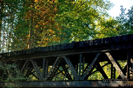 Haslam_Creek_Suspension_Bridge_Nanaimo_nature_landsacpe_Vancouver_Island_Canada_Usa_Photography_003_Canon_EOS_5D_Mark_IV.JPG
