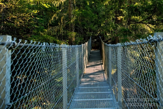 Haslam_Creek_Suspension_Bridge_Nanaimo_nature_landsacpe_Vancouver_Island_Canada_Usa_Photography_017_Canon_EOS_5D_Mark_IV.JPG