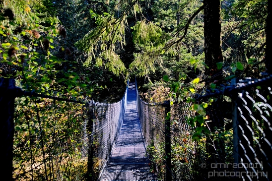 Haslam_Creek_Suspension_Bridge_Nanaimo_nature_landsacpe_Vancouver_Island_Canada_Usa_Photography_019_Canon_EOS_5D_Mark_IV.JPG
