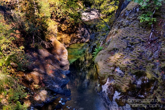 Haslam_Creek_Suspension_Bridge_Nanaimo_nature_landsacpe_Vancouver_Island_Canada_Usa_Photography_022_Canon_EOS_5D_Mark_IV.JPG
