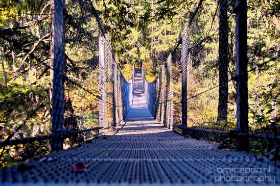Haslam_Creek_Suspension_Bridge_Nanaimo_nature_landsacpe_Vancouver_Island_Canada_Usa_Photography_024_Canon_EOS_5D_Mark_IV.JPG