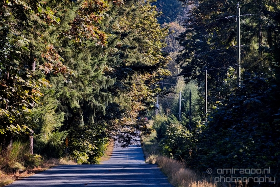 Haslam_Creek_Suspension_Bridge_Nanaimo_nature_landsacpe_Vancouver_Island_Canada_Usa_Photography_039_Canon_EOS_5D_Mark_IV.JPG