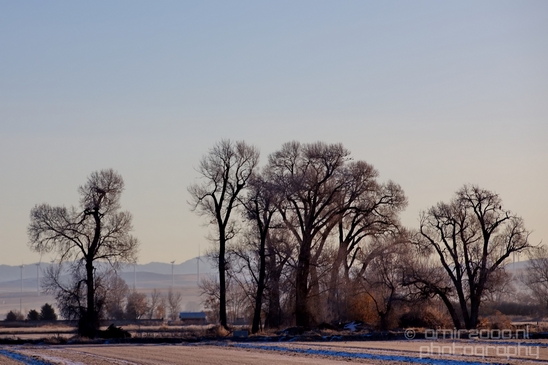 Idaho_Falls_to_Jackson_Hole_Wyoming_view_Grand_Teton_USA_nature_landscape_Photography_002_Canon_EOS_5D_Mark_IV.JPG