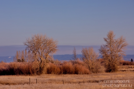 Idaho_Falls_to_Jackson_Hole_Wyoming_view_Grand_Teton_USA_nature_landscape_Photography_004_Canon_EOS_5D_Mark_IV.JPG