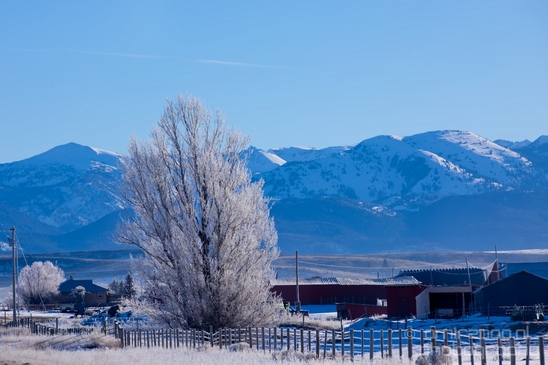 Idaho_Falls_to_Jackson_Hole_Wyoming_view_Grand_Teton_USA_nature_landscape_Photography_026_Canon_EOS_5D_Mark_IV.JPG