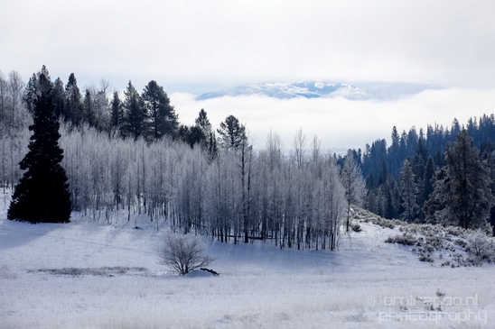Idaho_Falls_to_Jackson_Hole_Wyoming_view_Grand_Teton_USA_nature_landscape_Photography_056_Canon_EOS_5D_Mark_IV.JPG