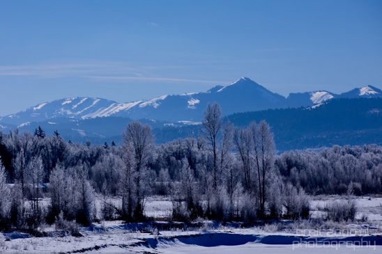 Idaho_Falls_to_Jackson_Hole_Wyoming_view_Grand_Teton_USA_nature_landscape_Photography_071_Canon_EOS_5D_Mark_IV.JPG
