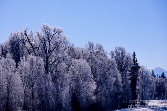 Idaho_Falls_to_Jackson_Hole_Wyoming_view_Grand_Teton_USA_nature_landscape_Photography_072_Canon_EOS_5D_Mark_IV.JPG