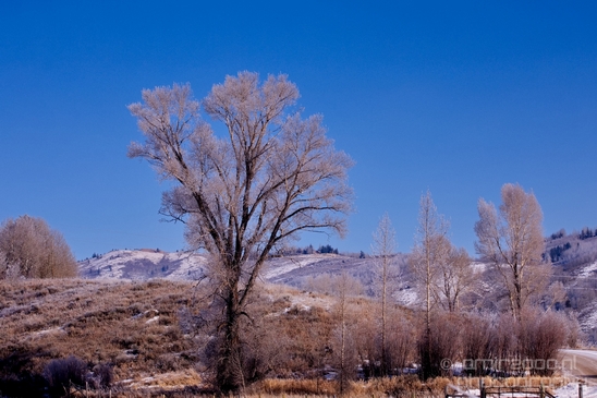 Idaho_Falls_to_Jackson_Hole_Wyoming_view_Grand_Teton_USA_nature_landscape_Photography_073_Canon_EOS_5D_Mark_IV.JPG