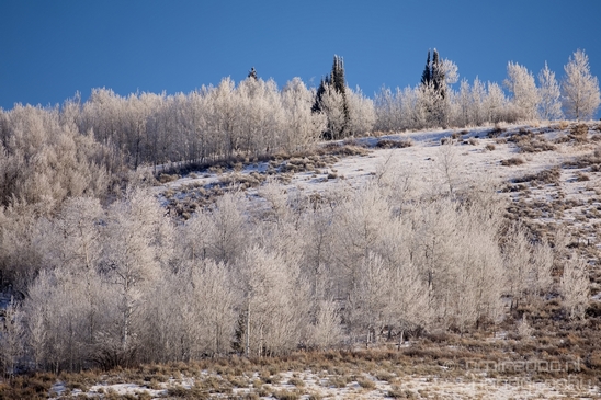 Idaho_Falls_to_Jackson_Hole_Wyoming_view_Grand_Teton_USA_nature_landscape_Photography_076_Canon_EOS_5D_Mark_IV.JPG