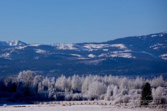 Idaho_Falls_to_Jackson_Hole_Wyoming_view_Grand_Teton_USA_nature_landscape_Photography_084_Canon_EOS_5D_Mark_IV.JPG