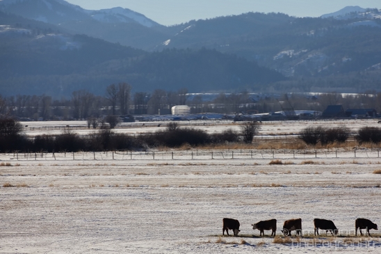 Idaho_Falls_to_Jackson_Hole_Wyoming_view_Grand_Teton_USA_nature_landscape_Photography_087_Canon_EOS_5D_Mark_IV.JPG