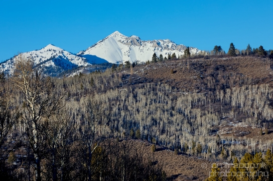 Idaho_Falls_to_Jackson_Hole_Wyoming_view_Grand_Teton_USA_nature_landscape_Photography_097_Canon_EOS_5D_Mark_IV.JPG