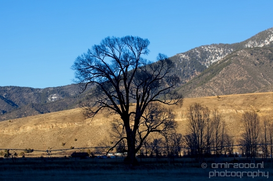 Idaho_Falls_to_Jackson_Hole_Wyoming_view_Grand_Teton_USA_nature_landscape_Photography_106_Canon_EOS_5D_Mark_IV.JPG