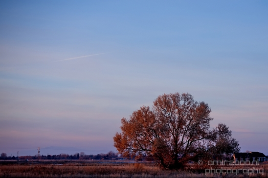 Idaho_Falls_to_Jackson_Hole_Wyoming_view_Grand_Teton_USA_nature_landscape_Photography_136_Canon_EOS_5D_Mark_IV.JPG