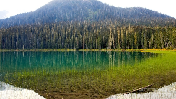 Joffre_Lakes_Provincial_Park_British_Columbia_nature_landscape_Canada_Photography_Usa_001_Canon_EOS_5D_Mark_IV.JPG