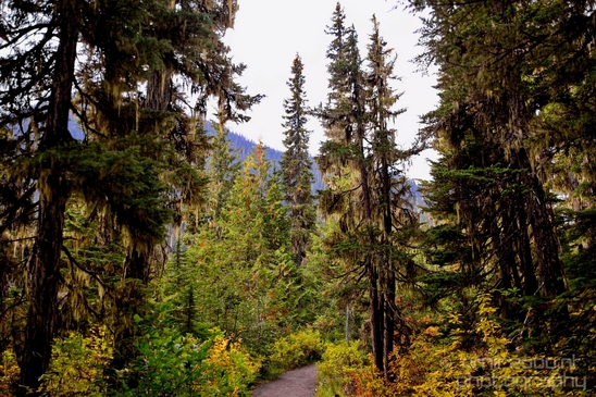 Joffre_Lakes_Provincial_Park_British_Columbia_nature_landscape_Canada_Photography_Usa_002_Canon_EOS_5D_Mark_IV.JPG