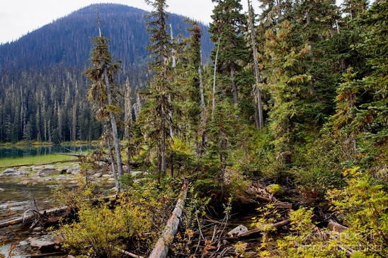 Joffre_Lakes_Provincial_Park_British_Columbia_nature_landscape_Canada_Photography_Usa_003_Canon_EOS_5D_Mark_IV.JPG