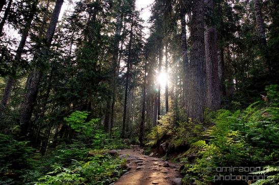 Joffre_Lakes_Provincial_Park_British_Columbia_nature_landscape_Canada_Photography_Usa_004_Canon_EOS_5D_Mark_IV.JPG
