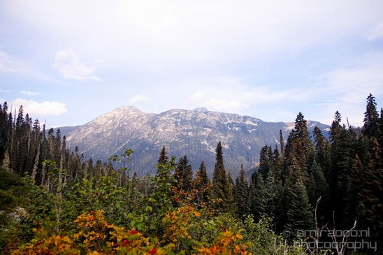 Joffre_Lakes_Provincial_Park_British_Columbia_nature_landscape_Canada_Photography_Usa_006_Canon_EOS_5D_Mark_IV.JPG