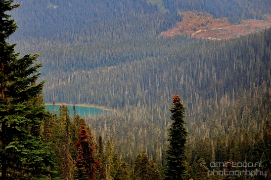 Joffre_Lakes_Provincial_Park_British_Columbia_nature_landscape_Canada_Photography_Usa_008_Canon_EOS_5D_Mark_IV.JPG