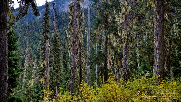 Joffre_Lakes_Provincial_Park_British_Columbia_nature_landscape_Canada_Photography_Usa_009_Canon_EOS_5D_Mark_IV.JPG