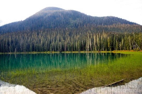 Joffre_Lakes_Provincial_Park_British_Columbia_nature_landscape_Canada_Usa_Photography_002_Canon_EOS_5D_Mark_IV.JPG