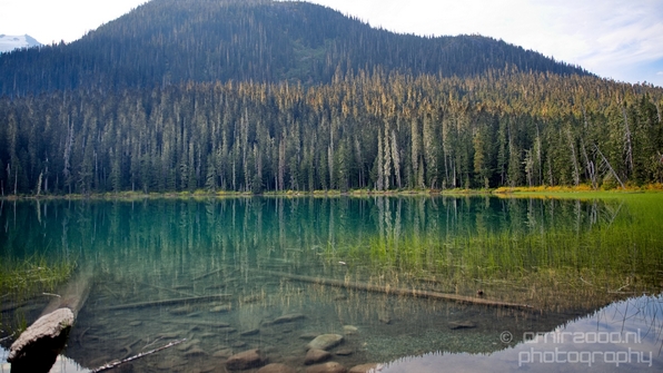 Joffre_Lakes_Provincial_Park_British_Columbia_nature_landscape_Canada_Usa_Photography_004_Canon_EOS_5D_Mark_IV.JPG