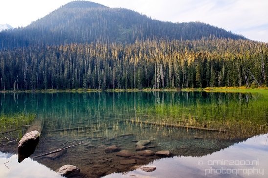 Joffre_Lakes_Provincial_Park_British_Columbia_nature_landscape_Canada_Usa_Photography_006_Canon_EOS_5D_Mark_IV.JPG