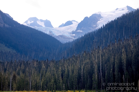 Joffre_Lakes_Provincial_Park_British_Columbia_nature_landscape_Canada_Usa_Photography_010_Canon_EOS_5D_Mark_IV.JPG