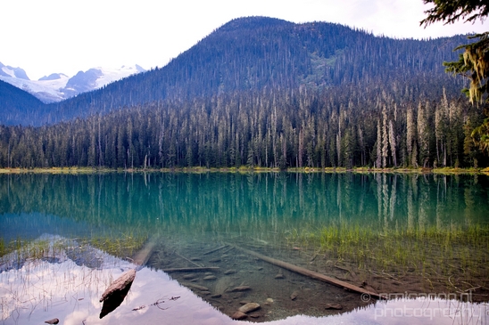 Joffre_Lakes_Provincial_Park_British_Columbia_nature_landscape_Canada_Usa_Photography_013_Canon_EOS_5D_Mark_IV.JPG