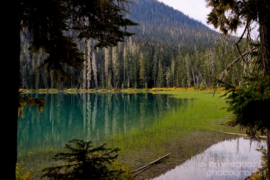 Joffre_Lakes_Provincial_Park_British_Columbia_nature_landscape_Canada_Usa_Photography_017_Canon_EOS_5D_Mark_IV.JPG